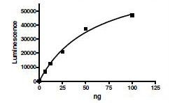 Functional Studies - Recombinant human ATP citrate lyase protein (AB196090)