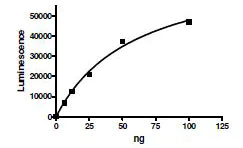 Functional Studies - Recombinant human ATP citrate lyase protein (AB196090)