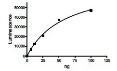 Functional Studies - Recombinant human ATP citrate lyase protein (GST tag N-Terminus) (AB196090)