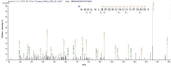 Mass Spectrometry - Recombinant Human ATP5A protein (Tagged) (AB235845)