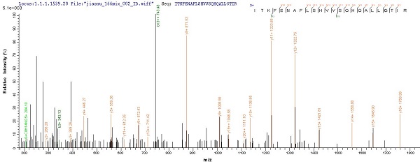 Mass Spectrometry - Recombinant Human ATP5A protein (Tagged) (AB235845)