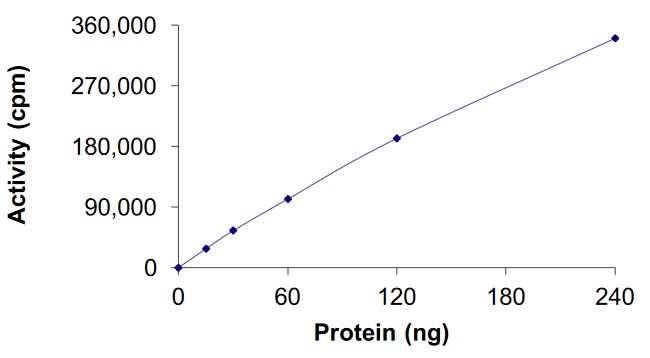 Recombinant human Aurora A protein (Active)