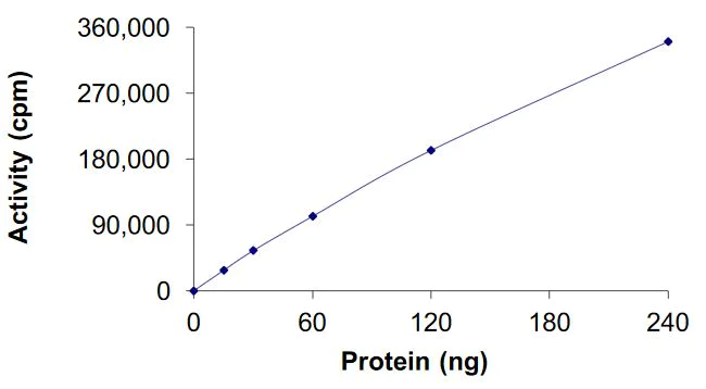 Functional Studies - Recombinant human Aurora A protein (Active) (AB268355)
