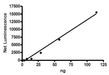 Functional Studies - Recombinant human Aurora A protein (Active) (AB271368), expandable thumbnail