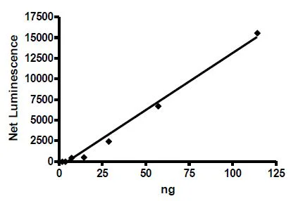 Functional Studies - Recombinant human Aurora A protein (Active) (His tag N-Terminus) (AB271368)