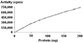 Functional Studies - Recombinant human Aurora B protein (AB51435), expandable thumbnail