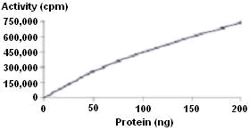 Functional Studies - Recombinant human Aurora B protein (AB51435)