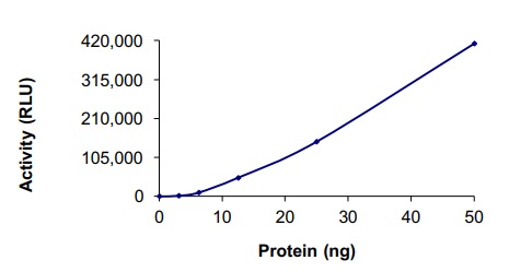 Functional Studies - Recombinant human Aurora B protein (AB51435), expandable thumbnail