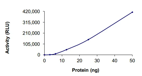Functional Studies - Recombinant human Aurora B protein (AB51435)