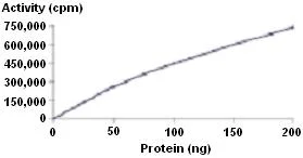Functional Studies - Recombinant human Aurora B protein (GST tag N-Terminus) (AB51435)