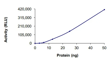 Functional Studies - Recombinant human Aurora B protein (GST tag N-Terminus) (AB51435)