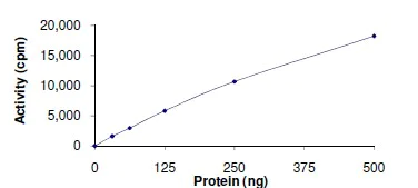 Functional Studies - Recombinant human Axl protein (AB167950)