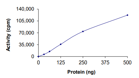 Functional Studies - Recombinant human Axl protein (AB167950), expandable thumbnail
