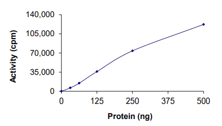 Functional Studies - Recombinant human Axl protein (AB167950)