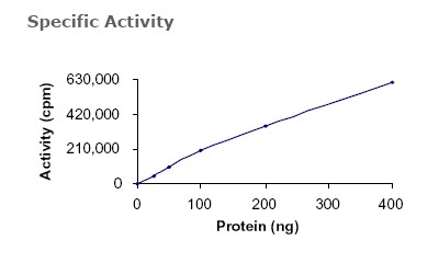 Functional Studies - Recombinant human Axl protein (AB64298), expandable thumbnail