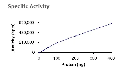 Functional Studies - Recombinant human Axl protein (AB64298)