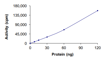 Functional Studies - Recombinant human Axl protein (AB64298), expandable thumbnail