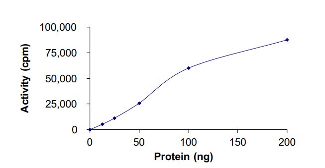 Recombinant human Axl protein (Active)