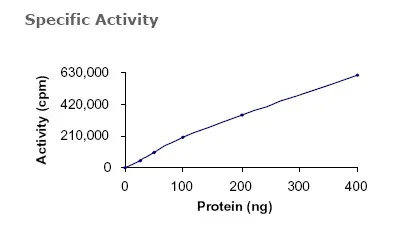 Functional Studies - Recombinant human Axl protein (His tag N-Terminus) (AB64298)