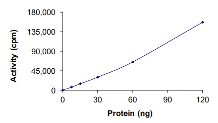 Functional Studies - Recombinant human Axl protein (His tag N-Terminus) (AB64298)