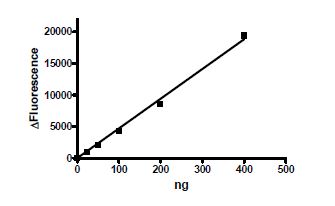 Recombinant human BACE1 protein (Active)