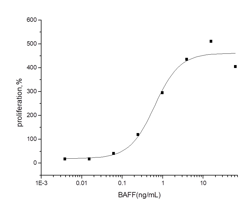 Functional Studies - Recombinant Human BAFF/BLyS/TNFSF13B Protein (ECD) (AB319192), expandable thumbnail