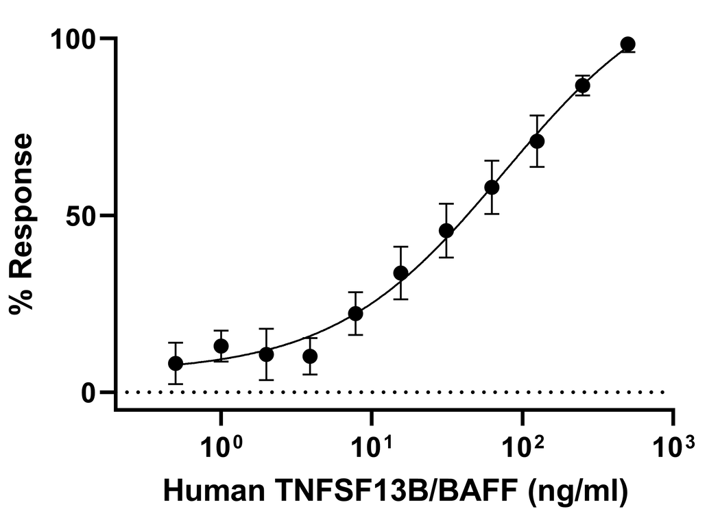 Functional Studies - Recombinant Human BAFF protein (Active) (AB283485)