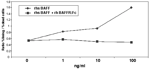 Functional Studies - Recombinant human BAFF-R protein (AB157066)