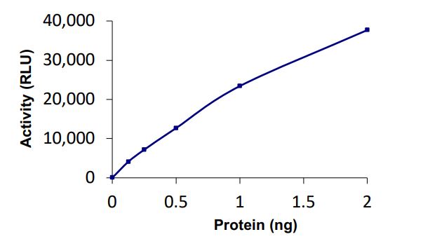 Functional Studies - Recombinant human BAP1 protein (Active) (AB268359)