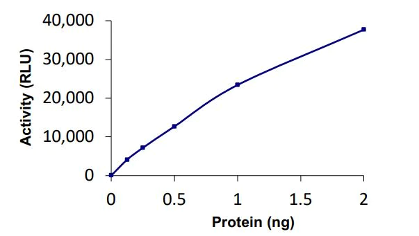 Functional Studies - Recombinant human BAP1 protein (Active) (AB268359)