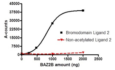 Functional Studies - Recombinant human BAZ2B protein (His tag N-Terminus) (AB196402)