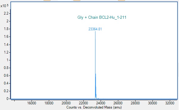 Mass Spectrometry - Recombinant Human BCL2 Protein (AB290060)