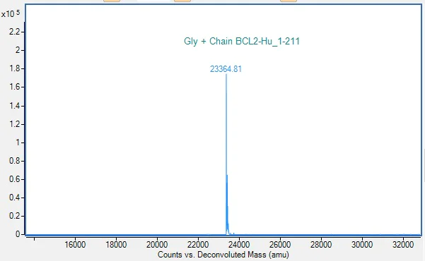 Mass Spectrometry - Recombinant Human BCL2 Protein (AB290060)