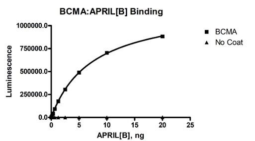Recombinant human BCMA protein (Active)