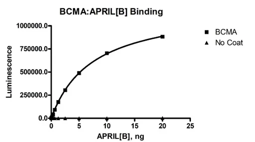 Functional Studies - Recombinant human BCMA protein (Active) (Fc tag C-Terminus + Avi tag C-Terminus) (AB269983)