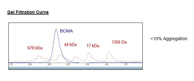 Size Exclusion Chromatography - Recombinant human BCMA protein (Active) (Fc tag C-Terminus + Avi tag C-Terminus) (AB269983)