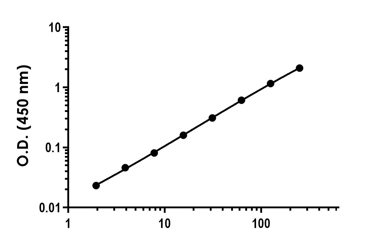 Sandwich ELISA - Recombinant Human BCMA Protein Standard (His tag) (AB316439), expandable thumbnail
