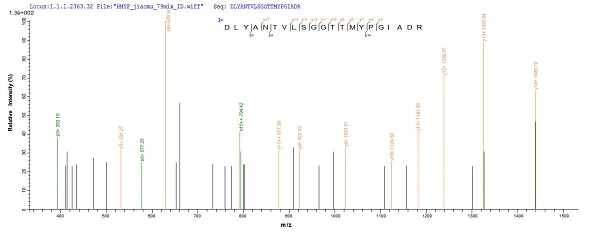 Mass Spectrometry - Recombinant Human beta Actin protein (His tag) (AB240844)