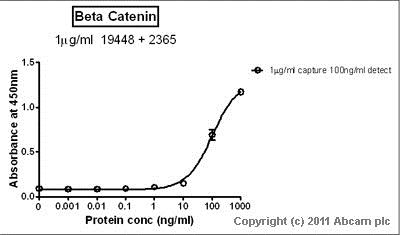 Sandwich ELISA - Recombinant Human beta Catenin protein (Tagged) (AB63175)