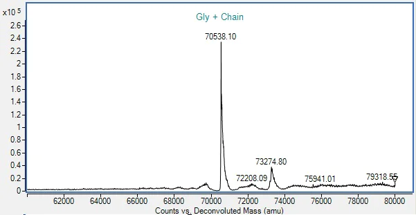 Mass Spectrometry - Recombinant Human BIP Protein (AB287939)