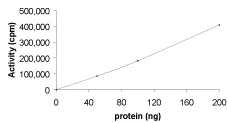 Functional Studies - Recombinant human BLK protein (AB60876)