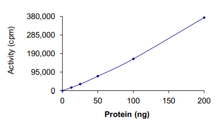 Functional Studies - Recombinant human BLK protein (GST tag N-Terminus) (AB60876)