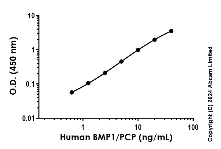 Sandwich ELISA - Recombinant Human BMP1/PCP Protein Standard (His tag) (AB323019)