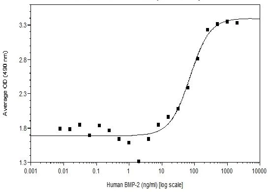 Functional Studies - Recombinant human BMP2 protein (Active) (AB269203)