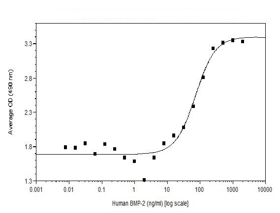 Functional Studies - Recombinant human BMP2 protein (Animal Free) (AB255993)