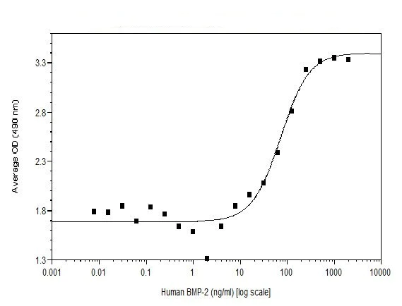 Functional Studies - Recombinant human BMP2 protein (Animal Free) (AB255993)