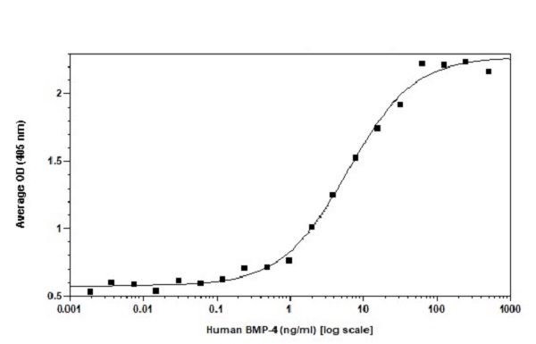 Functional Studies - Recombinant human BMP4 protein (Active) (AB238298)