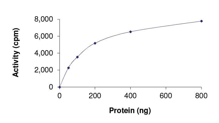 Functional Studies - Recombinant human BMPR1A protein (AB105907)