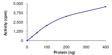Functional Studies - Recombinant human BMPR1A protein (AB105907)