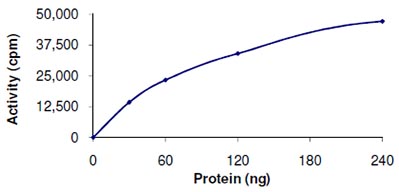 Functional Studies - Recombinant human BMPR1B protein (AB107949), expandable thumbnail